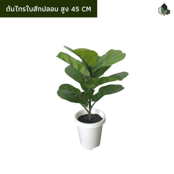ไทรใบสักปลอม