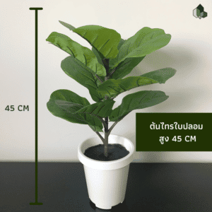 ไทรใบสักปลอม