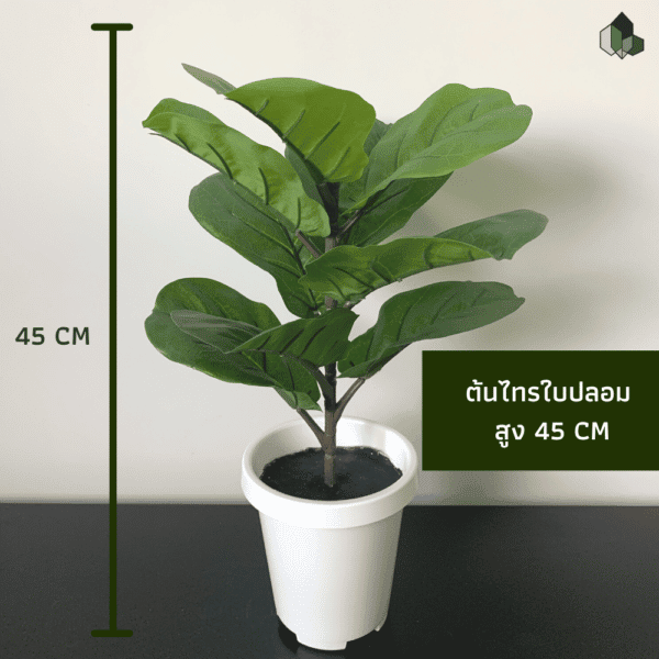 ไทรใบสักปลอม