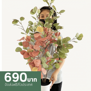 ต้นยูคาลิปตัสปลอม สีผสม สูง 85 CM