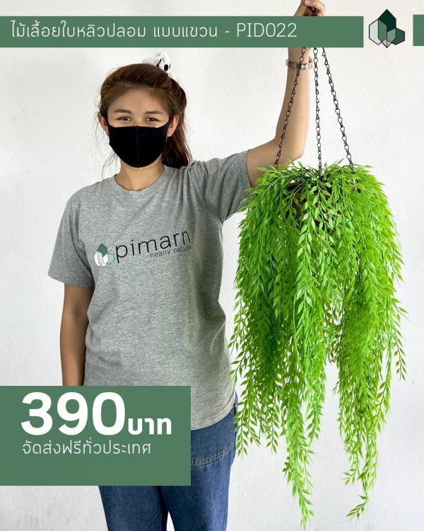 ไม้เลื้อยปลอม ไม้เลื้อยใบหลิวปลอมกระถางใยมะพร้าว