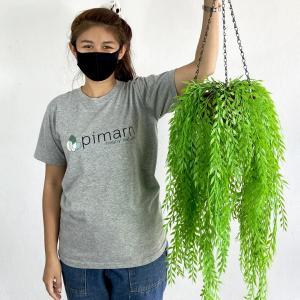 ไม้เลื้อยปลอม ไม้เลื้อยใบหลิวปลอมกระถางใยมะพร้าว