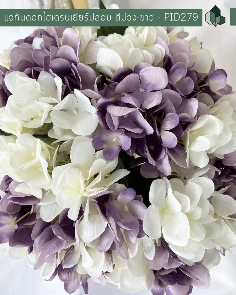 My Image 37