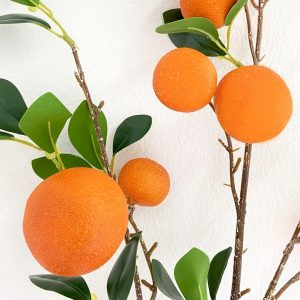 กิ่งส้มปลอม