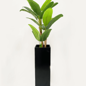 กระถางไม้ ขนาดใหญ่ทรงสี่เหลี่ยม สีดำ สูง 76 CM