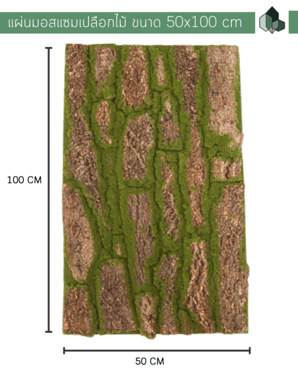 แผ่นมอสเทียม แผ่นมอสปลอม แผ่นมอสเปลือกไม้ (2)