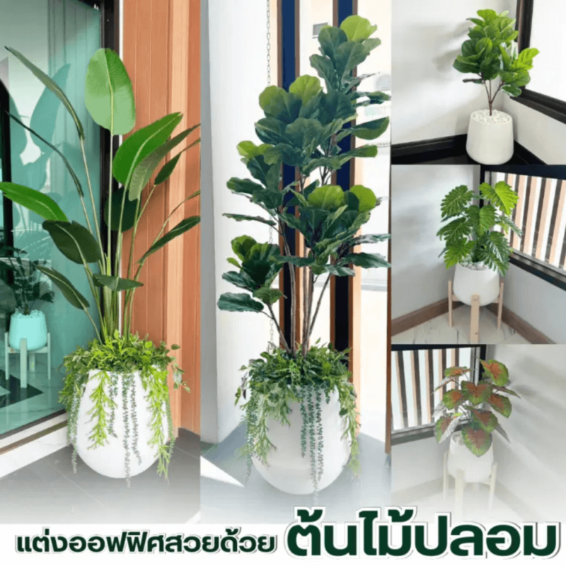 เซตต้นไม้ ต้นไม้ขนาดใหญ่ (4)